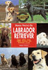 Manual. Manual prctico del Labrador Retriever. (Richard Burrows)