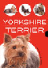 Libro. Yorkshire Terrier.