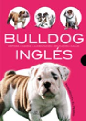 Libro. Bulldog Ingls