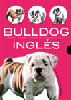 Libro. Bulldog Ingls